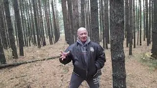 НЕ прибедняйся: ты можешь ВСЁ!