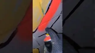 хороший тренд дерзай