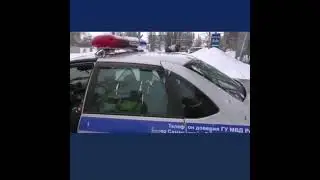 Голуби обосрали машину ментов