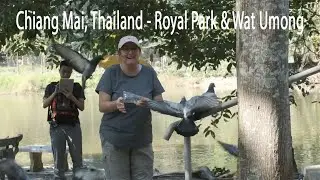 Chiang Mai Thailand Royal Park And Wat Umong
