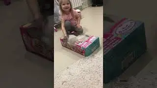 Кот в коробке)
