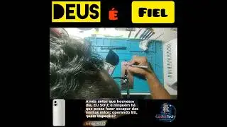 me segue e compartilha