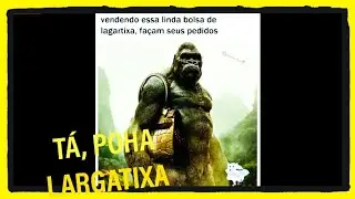 MEMES IMAGENS #1