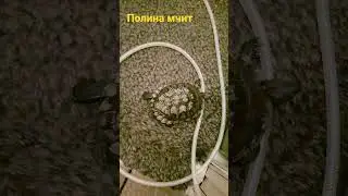 8 января 2022 г.