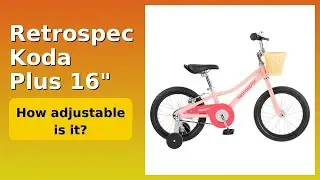 REVIEW (2026): Retrospec Koda Plus 16