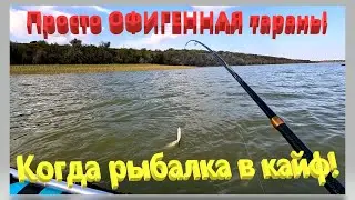Просто ОФИГЕННАЯ тарань. Рыбалка на Ейском лимане. Когда рыбалка в кайф! Fishing is a thrill! Ейск.