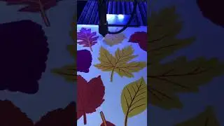 Лазерная резка картона по контуру