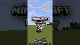 Minecraft Telepathy is easy  #minecraft #gaming