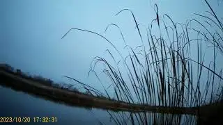 Поискал куропаток