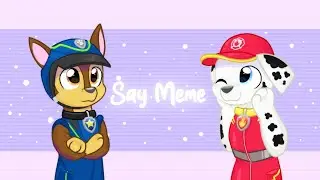 Say (Meme) Spy Chase & Aid Marshall