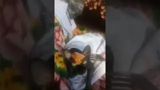 Когда хозяин - жмот