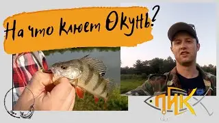 С микрухой по ручьям. Или на что ловить окуня