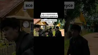 Приезжаю в деревню#деревня#собака#бабушка#мем#словопацана#приколы#video#shorts#мемы#пёс#улица#дорого