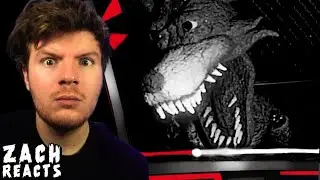 I ALMOST COULDN'T HANDLE WATCHING THESE VIDEOS (ZACH REACTS)