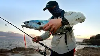 Shore Jigging for TUNA *FISH EVERY CAST* | Rock Fishing Australia