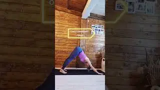 Собака мордой вниз творит чудеса! 
