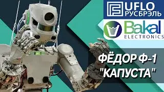 ✔️ЭКСКЛЮЗИВ: Робот Фёдор и Капуста #НаДиване