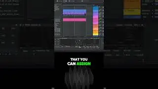 🎛 Virtual Riot Teaches Simpler in Ableton Live 12 (Part 1)