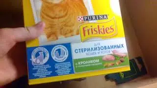 ЯЩИК ВЕЩЕЙ МОЕЙ КОШКИ/ ДРЕСЕРОВКА/ХОДЬБА НА ШЛЕЙКЕ.