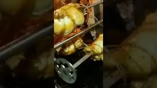 The chicken turns itself over!