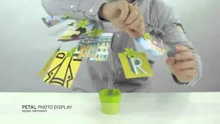 Petal Photo Display