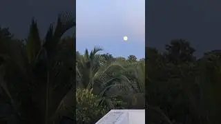 #chillmorning #naturebeauty #earlymorning #moon #பெளவுர்ணமி #morningmotivation #relaxing