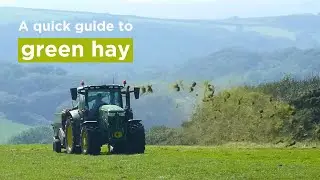A quick guide to green hay