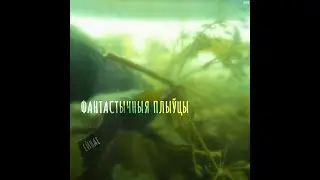 Fantastic Swimmers "Jejnaje" (2010)