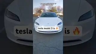 the tesla model 3 is the best starter ev! #angelocarlos #tesla #model3 #modely #models #cybertruck