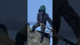 Коротко о работе в Центре, ожиданиях и реальности.