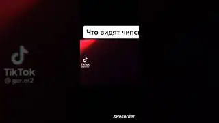 Что видят чипсы😂 