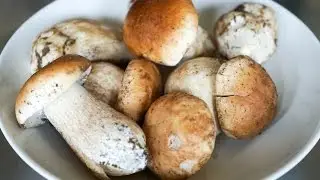 Nettoyer les cèpes