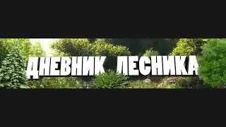 Разыгрываем #косарьотлесника