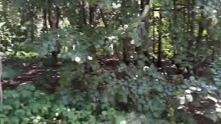 Активная медитация.  Баланс энергии и регенерация. часть 1