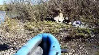 Майская Уньга
