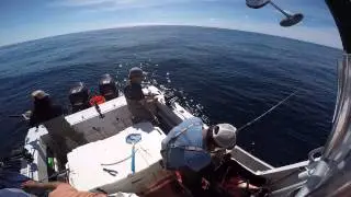 Westport Tuna Fishing September 2015 (Un-edit Part 3)
