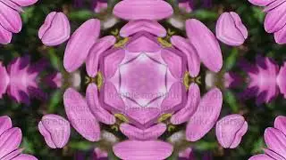 You are Beautiful Just  the Way You Are by Carol Ann Henderson