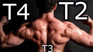 T2 vs T4 compared to T3 | Experience/Results/Side effects | Bodybuilding Fat Burner PED