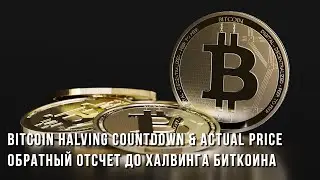 Bitcoin обратный отсчет до халвинга - Актуальная цена Bitcoin - Crypto Bubbles
