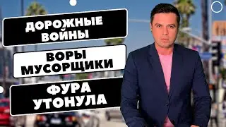 Битва за парковку / Фура утонула / Воры-мусорщики / Гризли против туристов