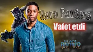 КОРА ПАНТЕРА УЛДИ 2020.08.28