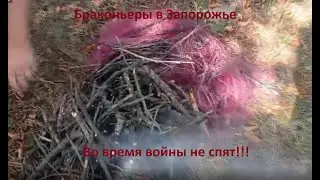 браконьеры во время войны оху
