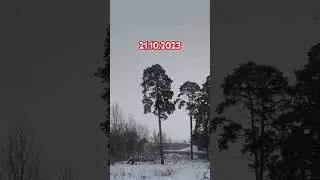 21.10.2023. Свердловская область