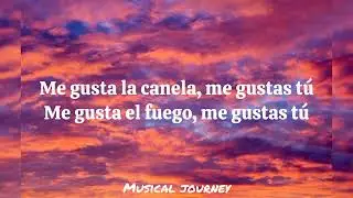 Manu Chao – Me gustas tú ( lyrics)