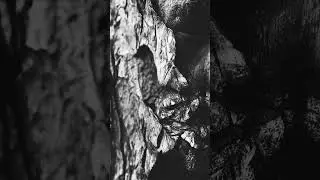 BOKKA - Teardrop