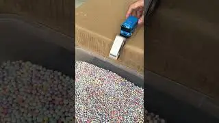The little bus 