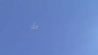 Пермские голуби.
