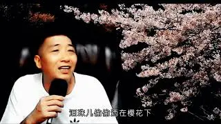 樱花泪 - 老罗 (Official Video)