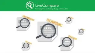 How to Self-audit SAP License Use to Ensure Compliance with SAP Contracts