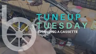 Tune Up Tuesday - How To Change A Cassette
